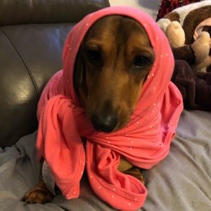 Meet your Posher, Annel